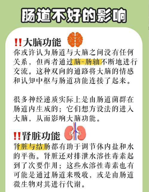 健康肠道图片大全,揭秘肠道图片大全中的奥秘