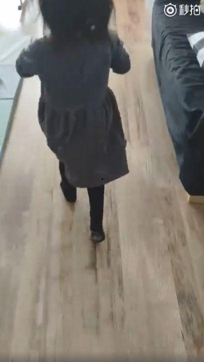 干屁视频,揭秘网络搞笑文化的魅力与影响