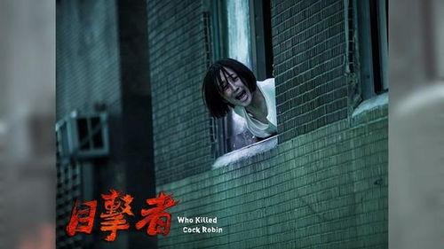 最新电影国语2017,光影交织，情感共鸣