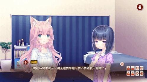 猫娘视频,萌动瞬间，捕捉治愈系猫咪魅力