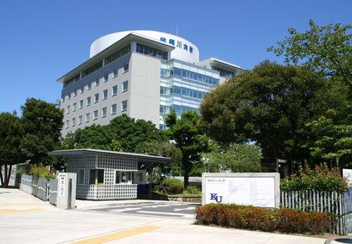 日本新学院,教育创新与未来人才培养的先锋