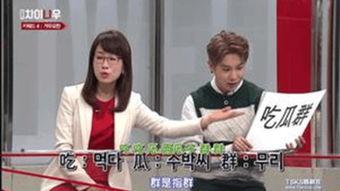 韩国综艺节目最新,热门节目背后的故事与幕后花絮