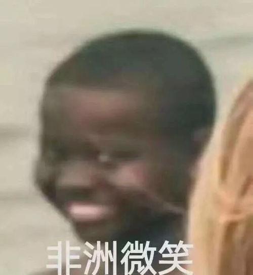 哈哈哈哈图片大全,海量哈哈哈哈图片大全精选