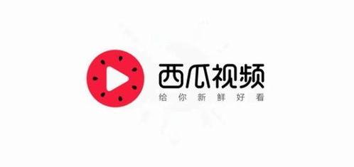 吃瓜安安今日头条,揭秘娱乐圈最新热点事件