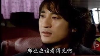 观看韩剧的国语版,跨越语言的魅力之旅