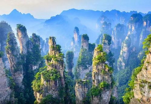 张家界吃瓜爆料新闻,揭秘当地美食背后的故事