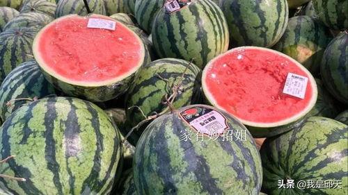 西瓜视频图片,视觉盛宴，一图览尽精彩瞬间