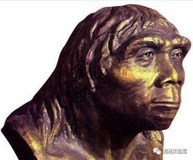 猿人图片,穿越时空的进化之旅