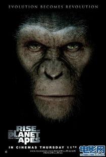 猿人图片,穿越时空的进化之旅