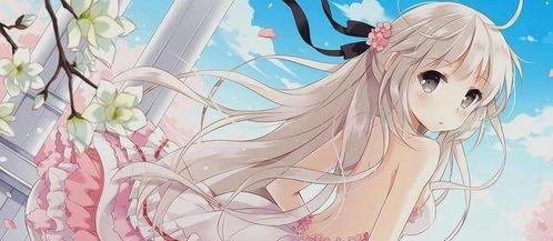 二次元吃瓜爆料博主是谁,二次元吃瓜爆料博主的真实身份！